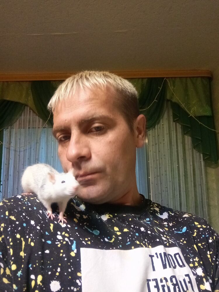  ,   , 41 ,   