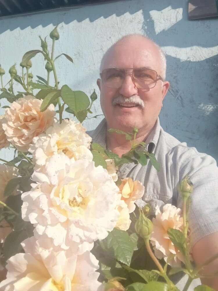  ,   , 65 ,   ,   
