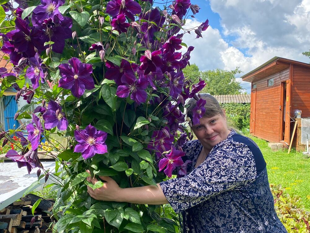 ���������� ������, ���� ������� ���, 40 ���, ������������ ��� ���������