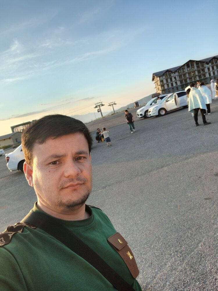  50842944  , 33 ,    