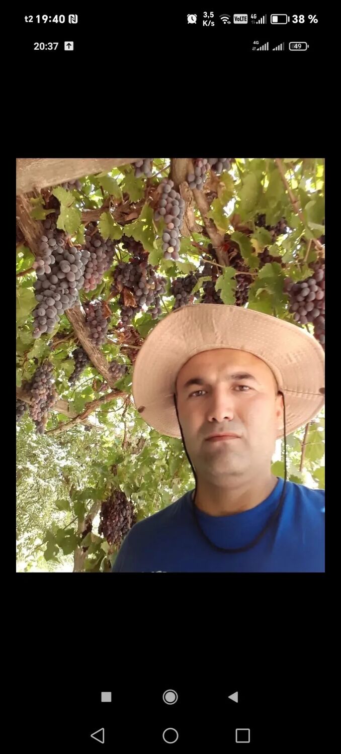  -,   Mansur, 47 ,   ,   , c , 