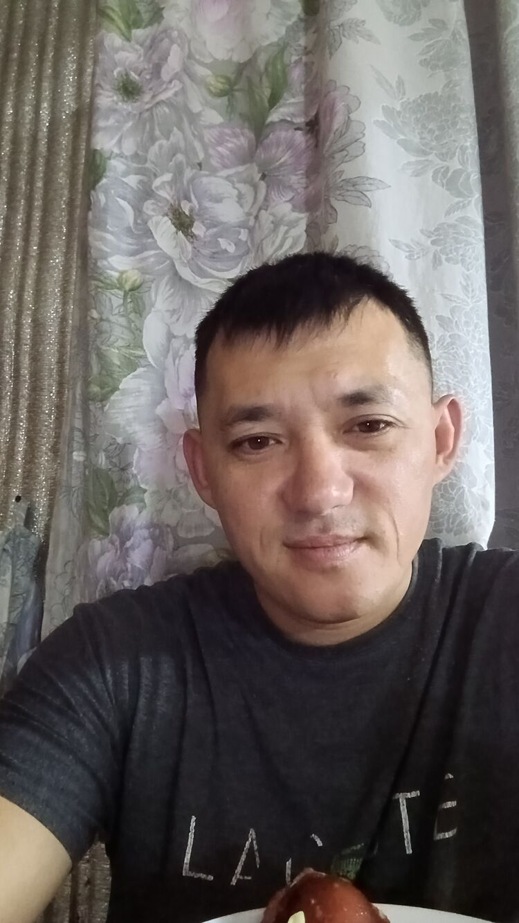  54126534  , 40 ,    -