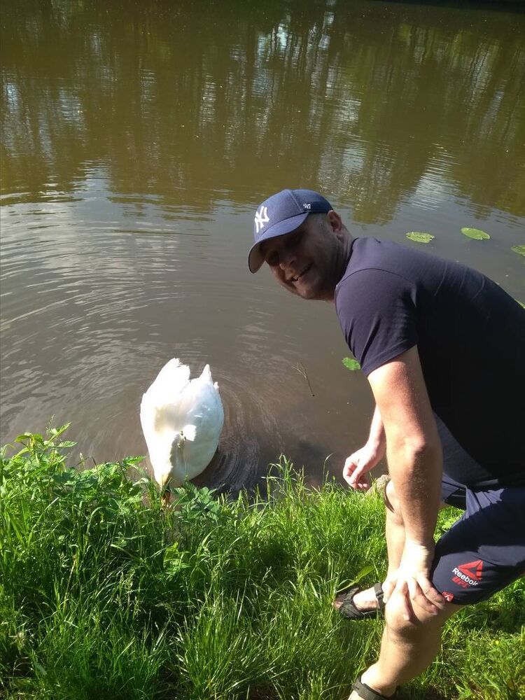 ���������� ��������������, ���� ������� �����, 44 ����, ������������ ��� ������, ����� � ���������, c�������� ���������