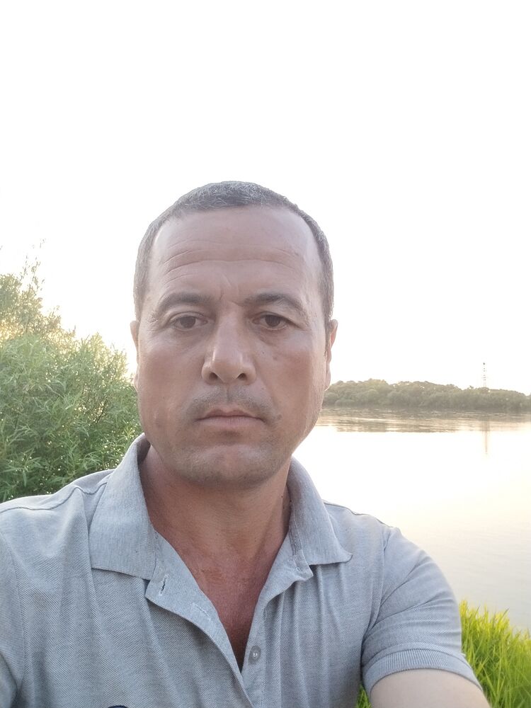  35569964  , 44 ,    