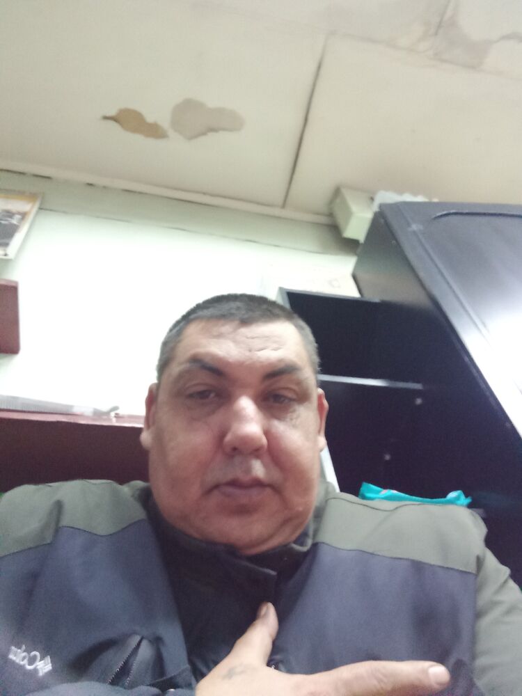 33516154  , 48 ,    