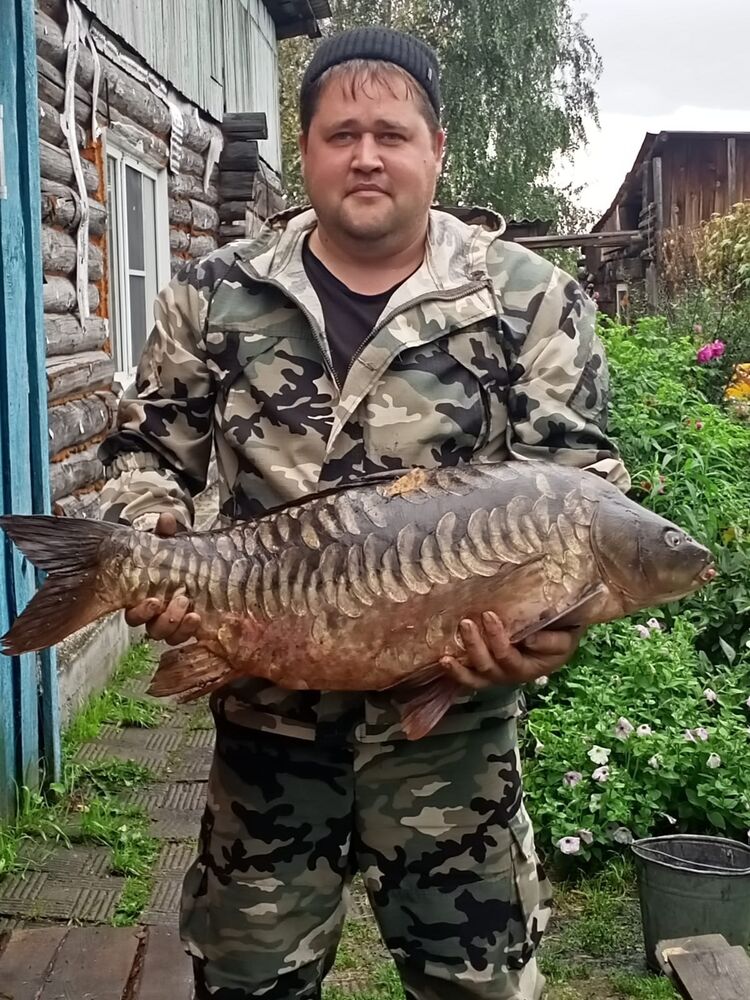 ���� 54347424 ������� �����, 33 ����, ���� ���������� � ������