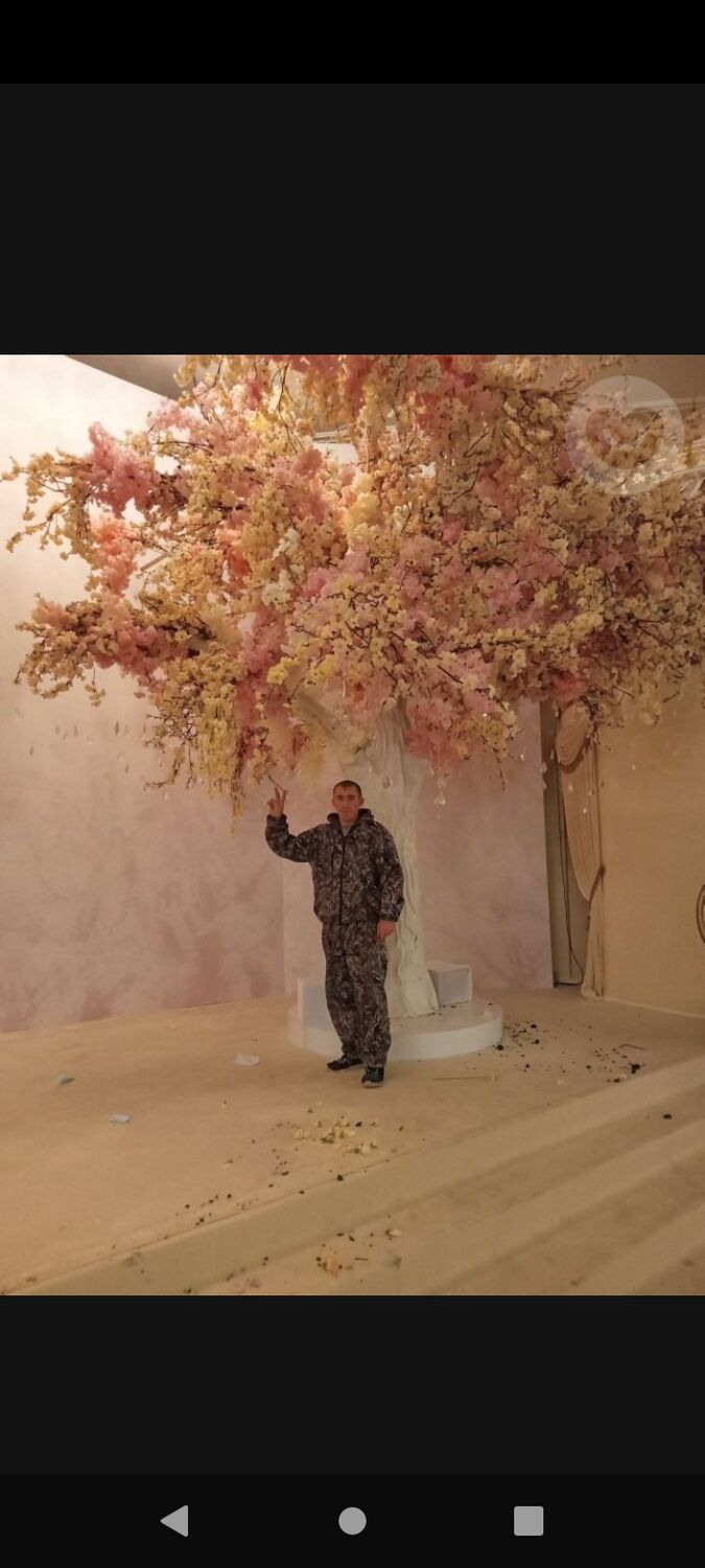 ���������� �����-���������, ���� ������� ���������, 41 ���, ������������ ��� ������, ����� � ���������, ���������