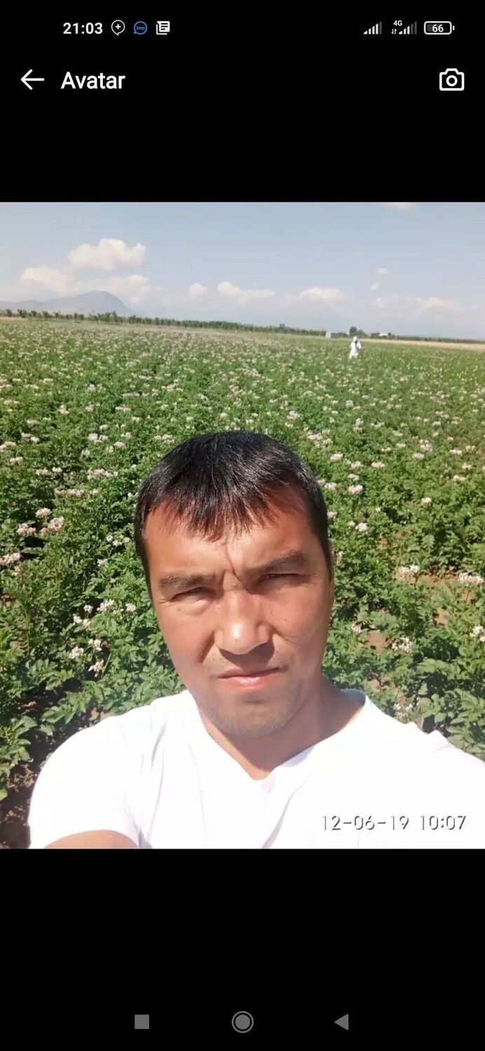 ���� 36420184 ������� ������, 38 ���, ���� ���������� � ����������