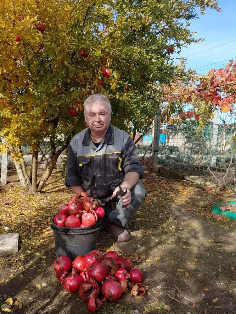 ���������� �����, ���� ������� ��������, 64 ����, ������������ ��� ����� � ���������, c�������� ���������