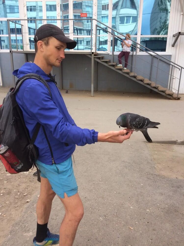 ���������� �����, ���� ������� �������, 38 ���, ������������ ��� ������, ����� � ���������, c�������� ���������, ���������