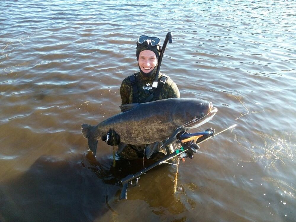 ���� 11404734 ������� ������, 44 ����, ���� ���������� � ������