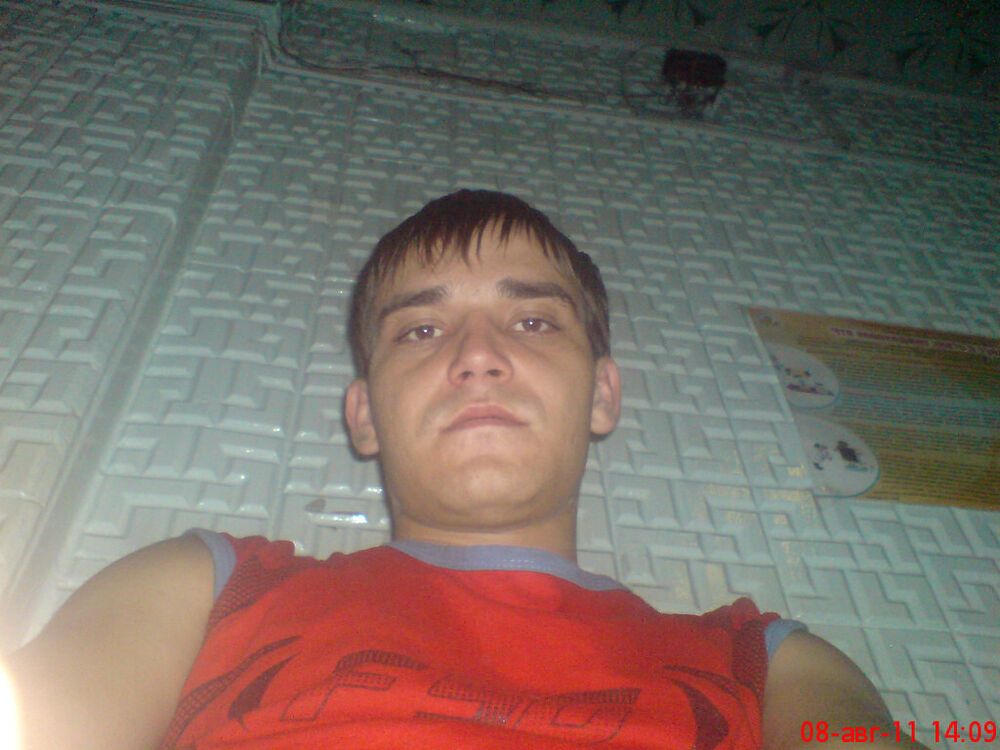  53547884  , 38 ,    -