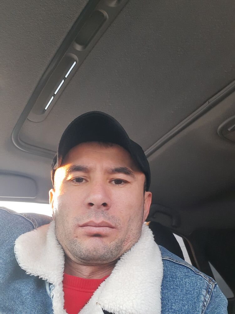 ���� 55949474 ������� �����, 38 ���, ���� ���������� � �������