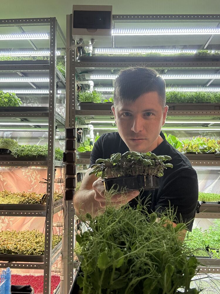 ���� 54983244 ������� ������, 31 ���, ���� ���������� � ���������