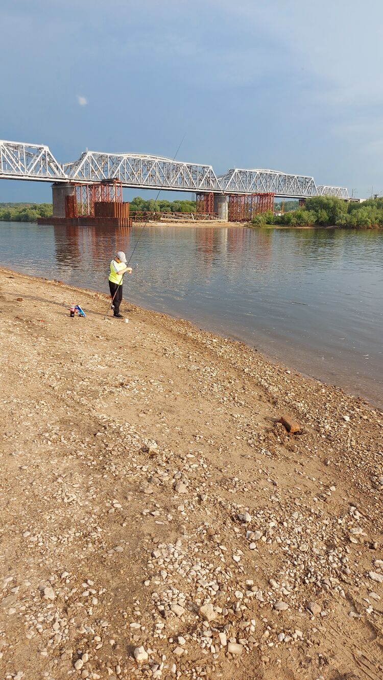 ���� 23685244 ������� ������, 56 ���, ���� ���������� � ������