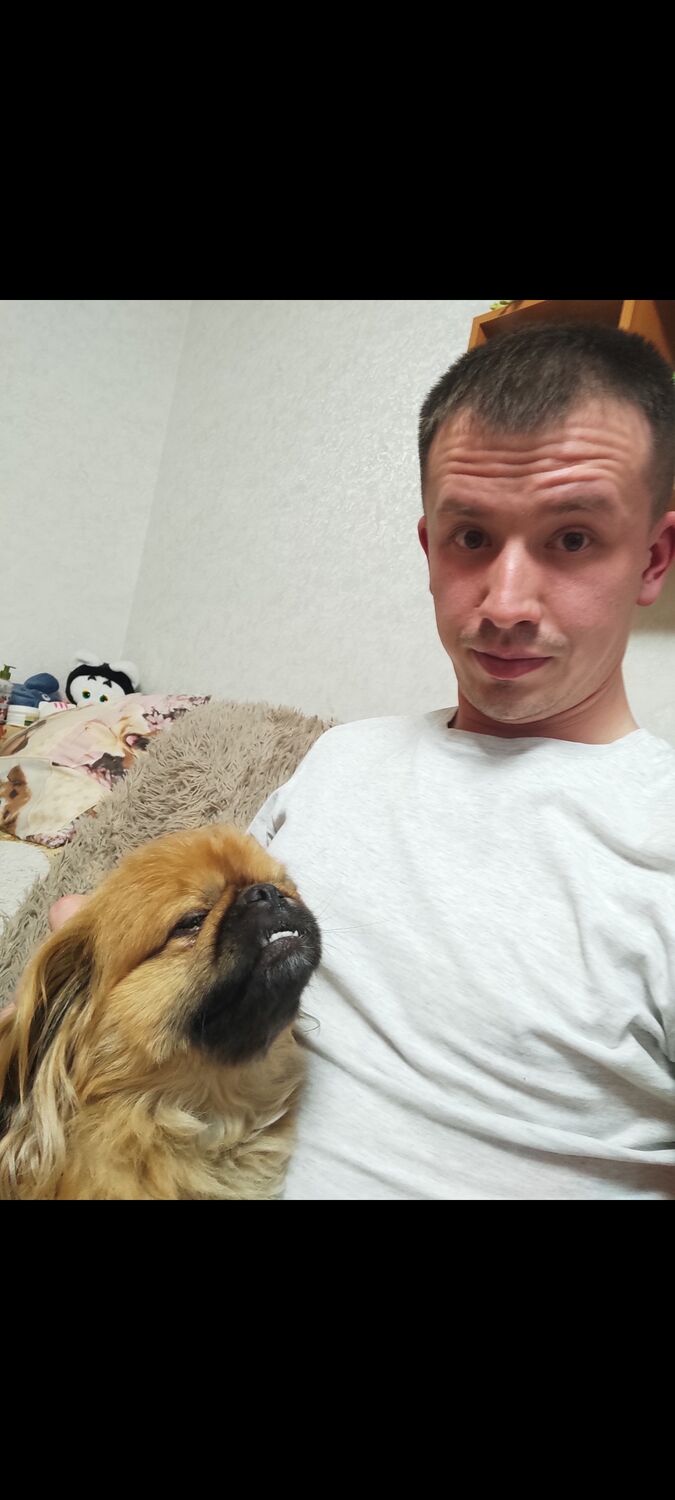 ���������� ������������, ���� ������� ���������, 33 ����, ������������ ��� ������, ����� � ���������