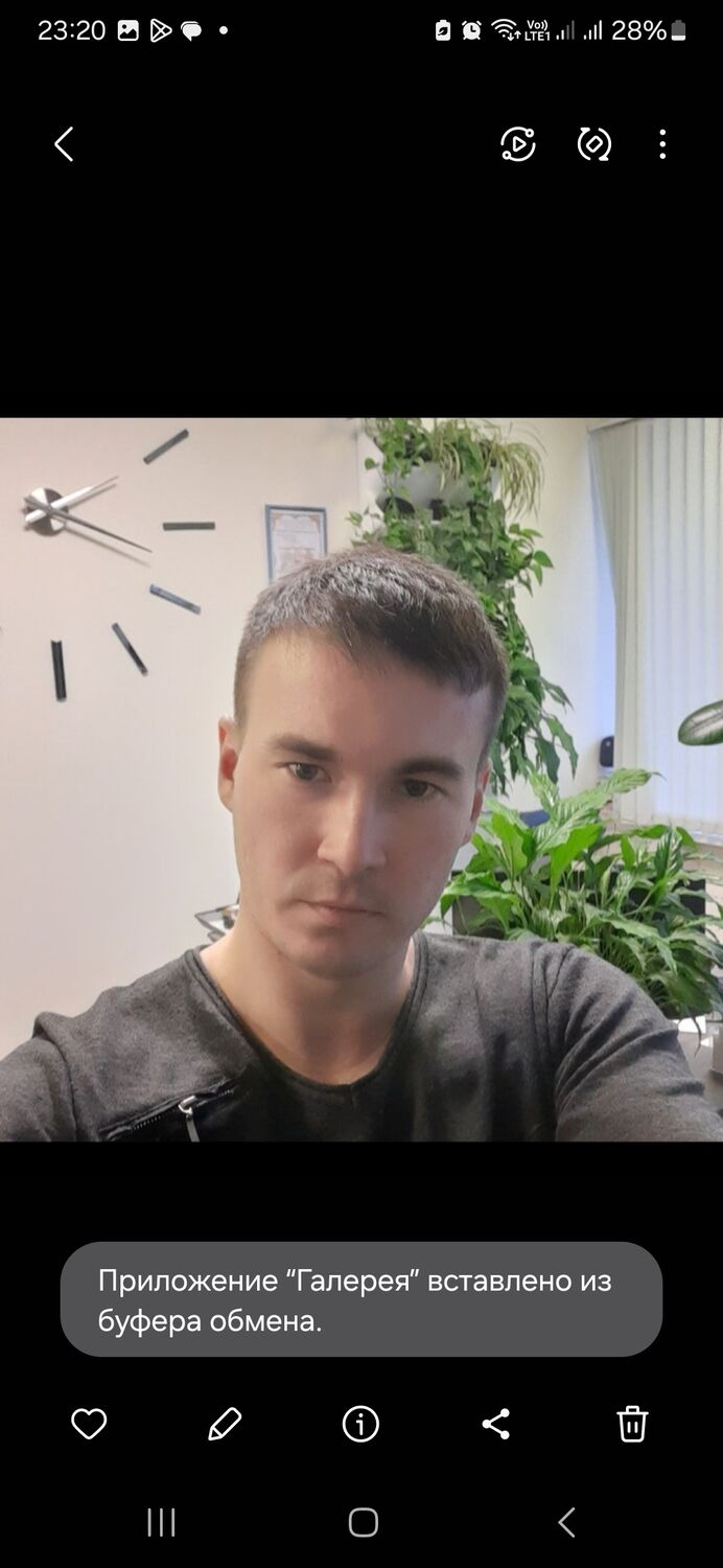  45627504  , 37 ,    -