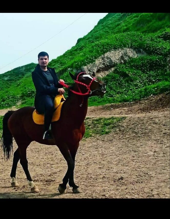 ���������� ������, ���� ������� ������, 31 ���, ������������ ��� ������, ����� � ���������, c�������� ���������