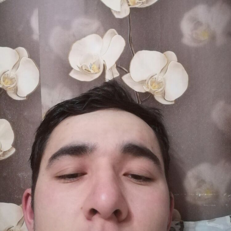 22303944  , 26 ,    