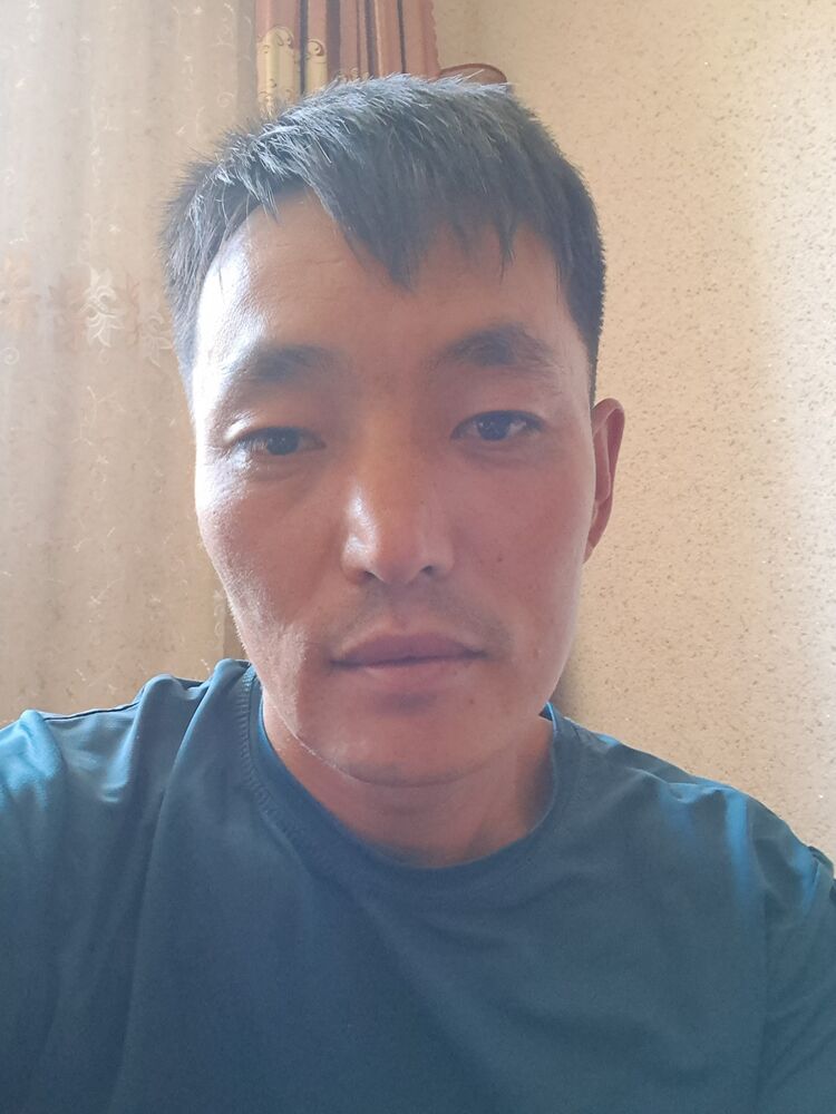  53279444  , 30 ,    