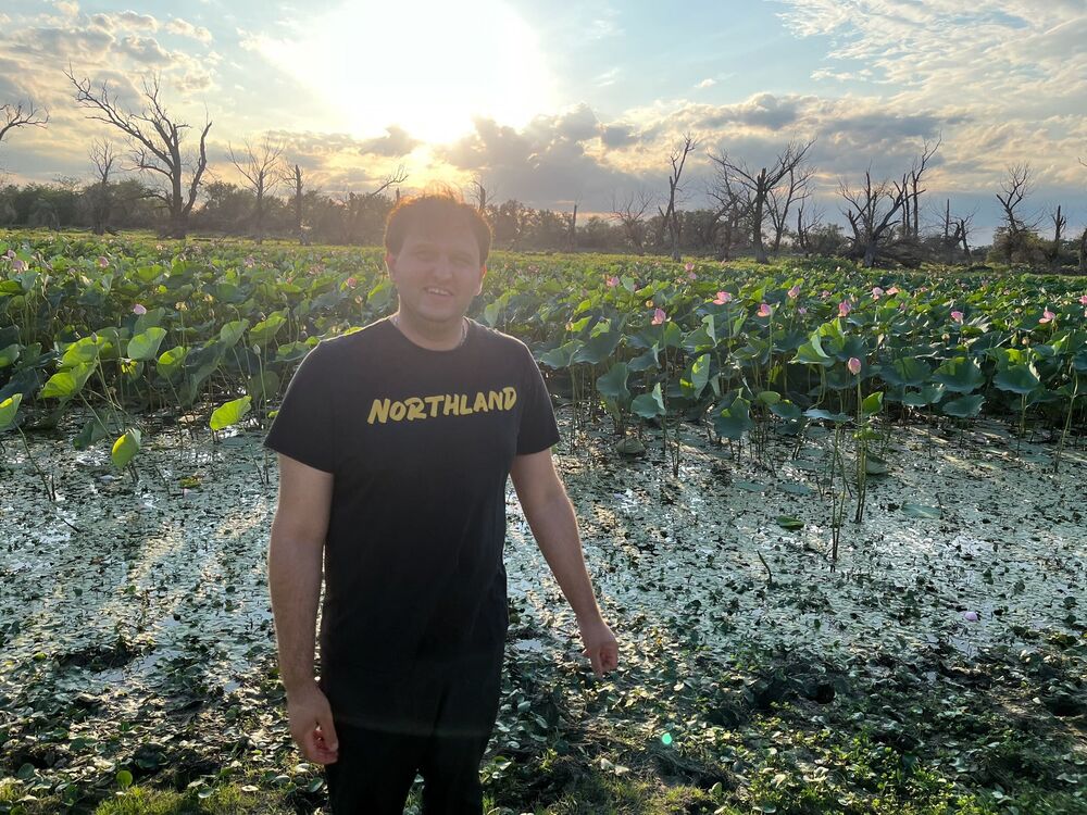  53492824  , 31 ,    --