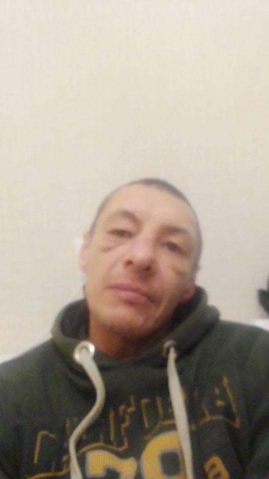  40559064  , 50 ,    