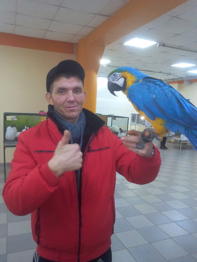 ���� 20938734 ������� �������, 42 ����, ���� ���������� � ������ ���������