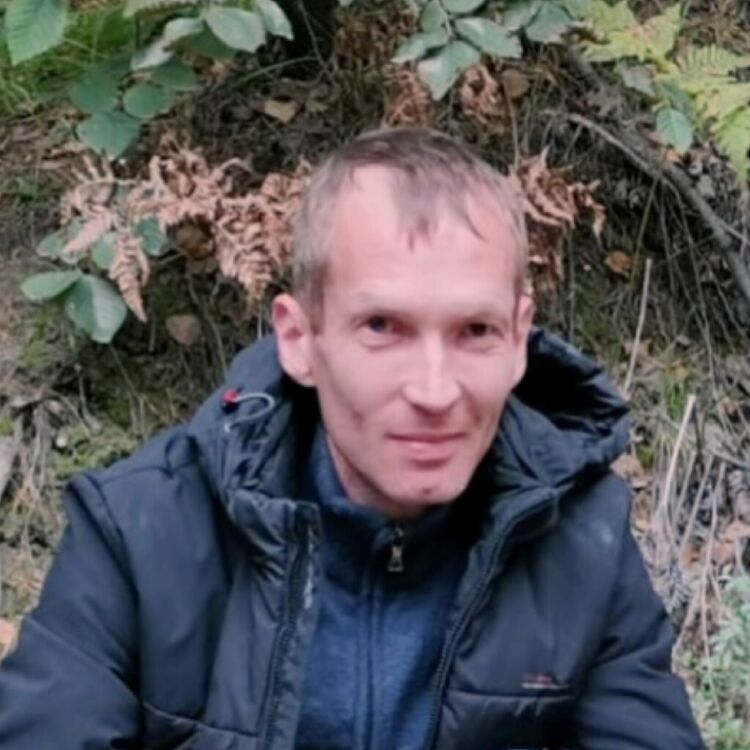  42832494  , 39 ,    