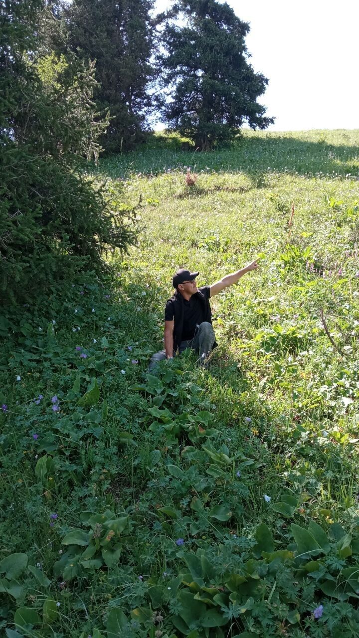 ���� 36426364 ������� ��������, 27 ���, ���� ���������� � �������