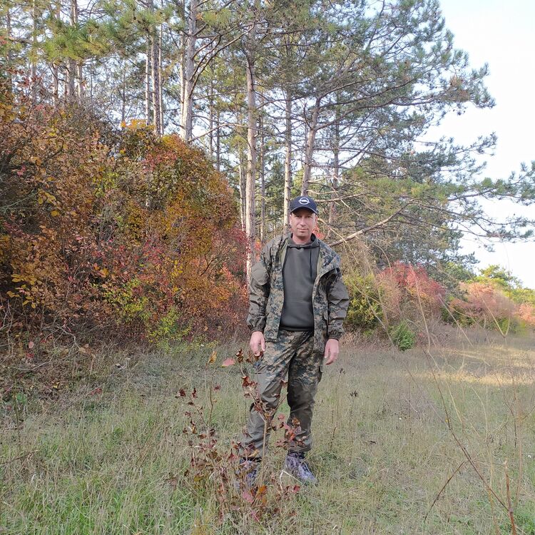 ���� 37637664 ������� ����, 44 ����, ���� ���������� � �����������