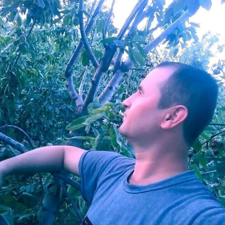 ���� 33827864 ������� ����, 44 ����, ���� ���������� � �����-����������