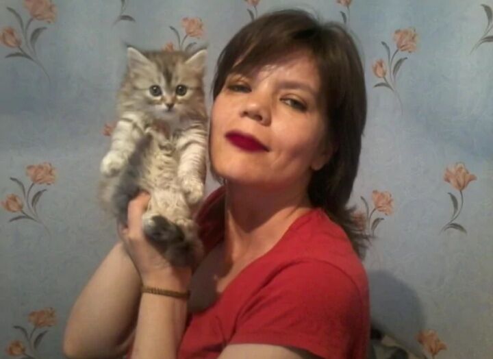  ,   , 42 ,   ,   