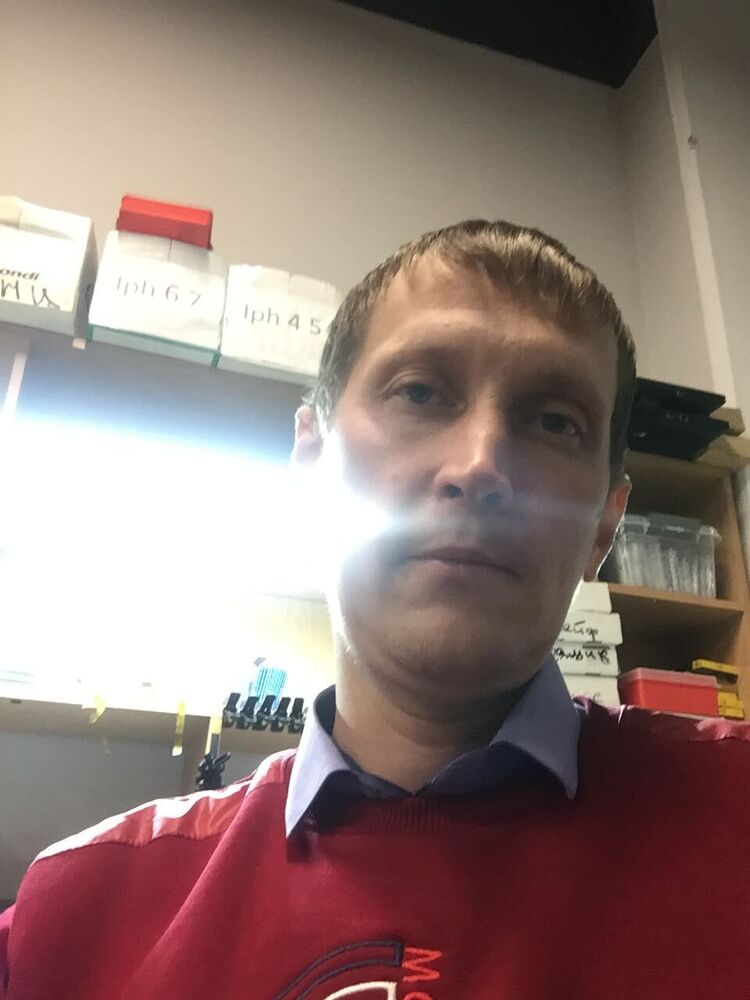 ���������� �����������, ���� ������� �����, 42 ����, ������������ ��� ����� � ���������, c�������� ���������