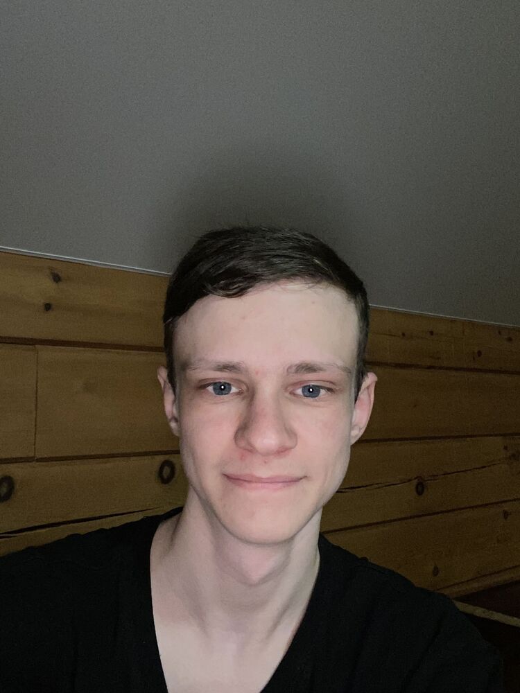  33831654  , 20 ,    