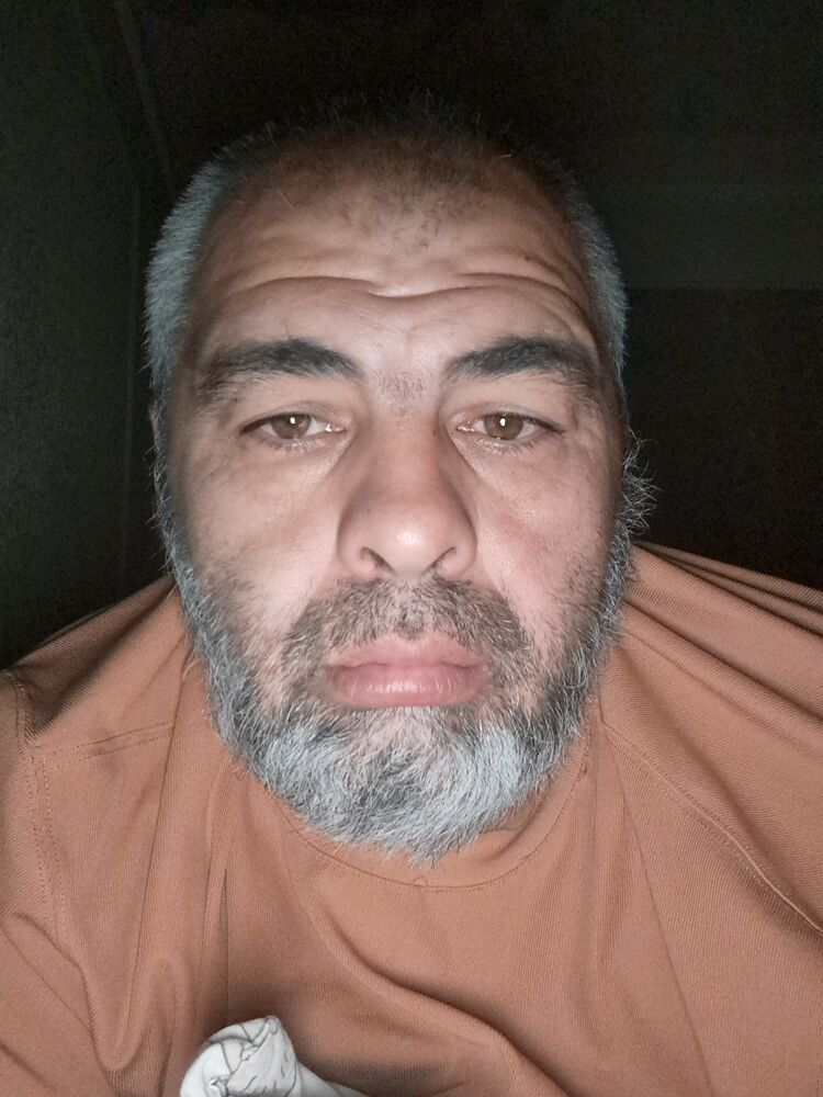 ���� 54335964 ������� �����, 44 ����, ���� ���������� � ����������