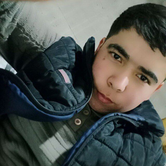  48543494  , 24 ,    