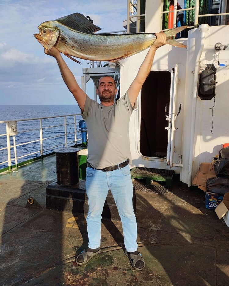 ���������� ������, ���� ������� Natik, 39 ���, ������������ ��� ������, ����� � ���������, c�������� ���������, ���������