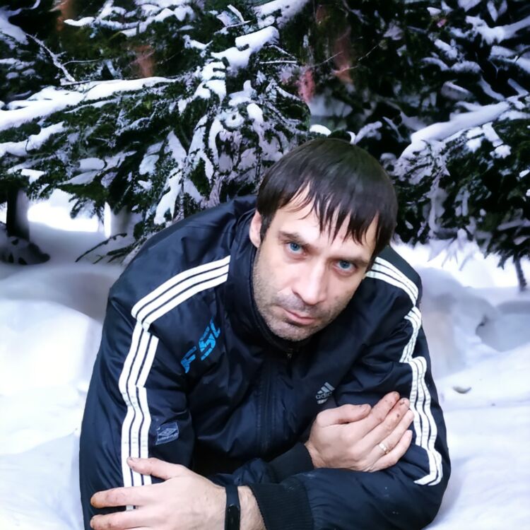  36687314  , 43 ,    