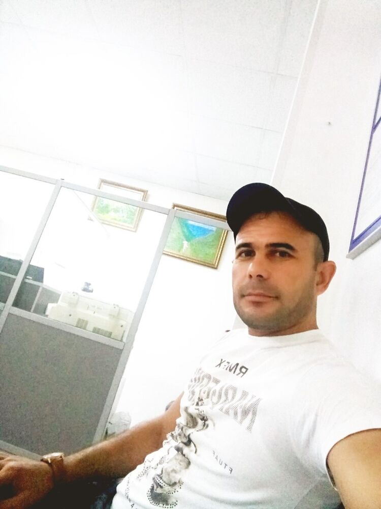 43939804  , 41 ,    