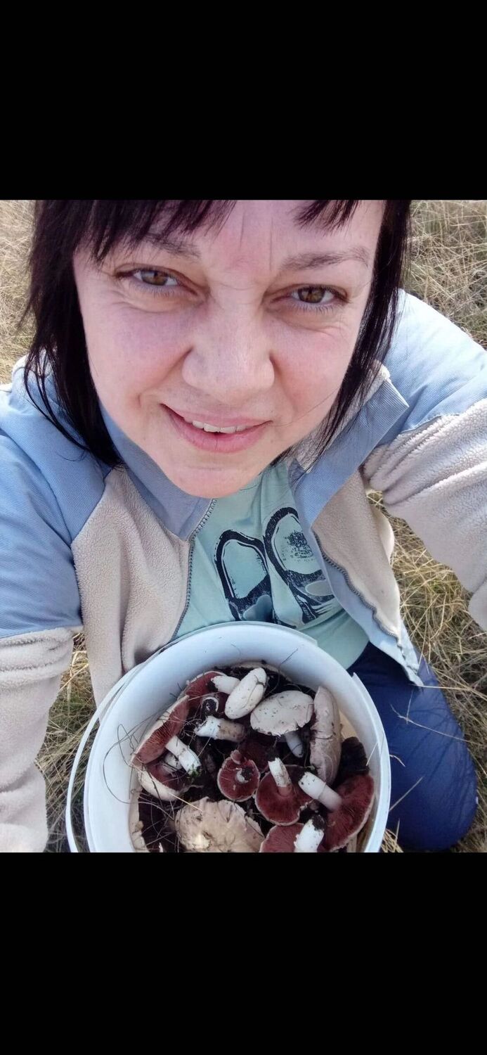 ���������� ��������, ���� ������� �����, 43 ����, ������������ ��� c�������� ���������