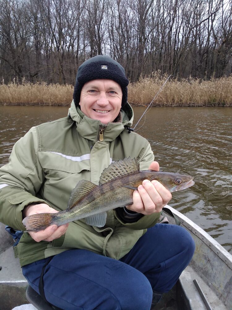 ���� 33446704 ������� ����, 35 ���, ���� ���������� � ����������