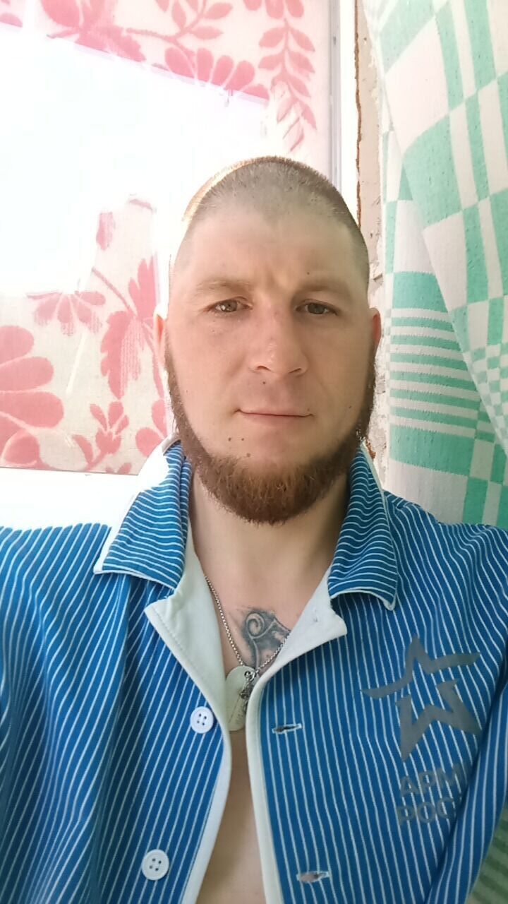  44663804  , 36 ,    