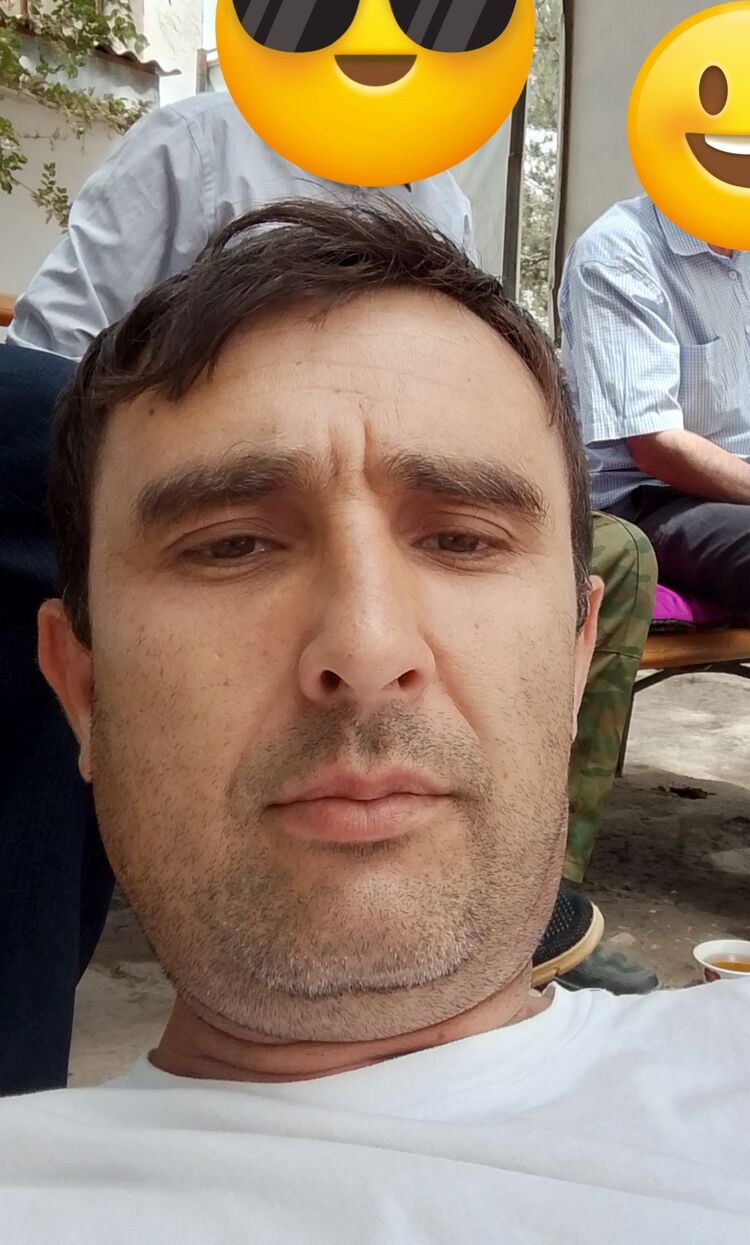  53293044  , 44 ,    