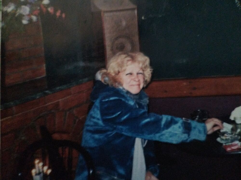  54520784  , 48 ,    -