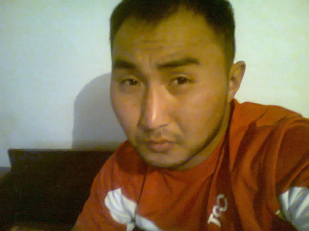 ���� 4662054 ������� Chik, 38 ���, ���� ���������� � �������