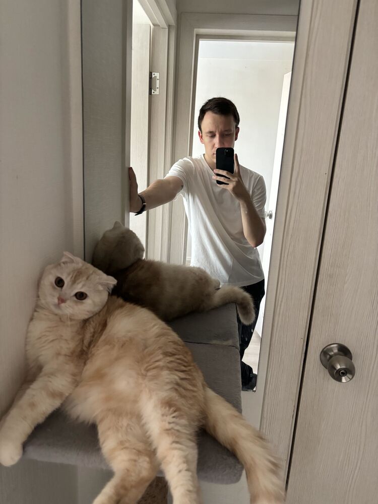 ���������� ������������, ���� ����� ������, 24 ����, ������������ ��� ������, ����� � ���������, c�������� ���������