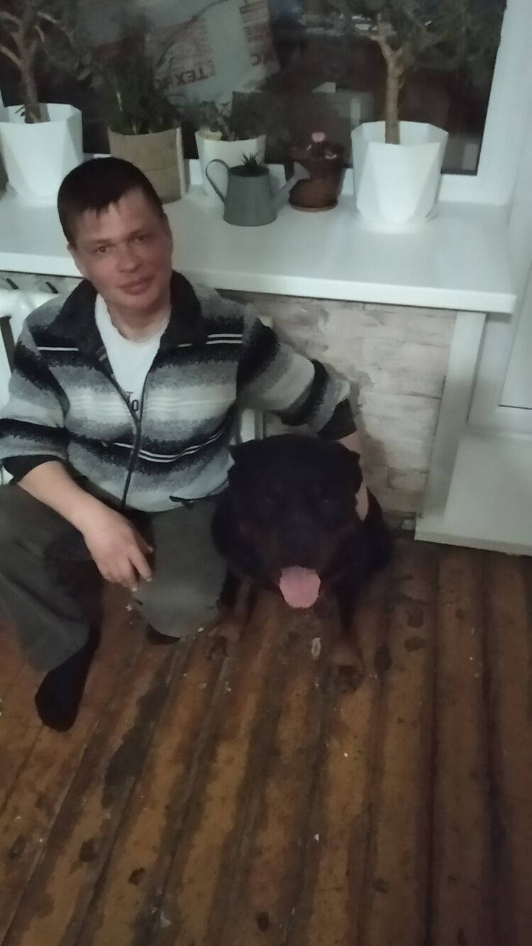 ���� 25593764 ������� ����, 44 ����, ���� ���������� � ��������