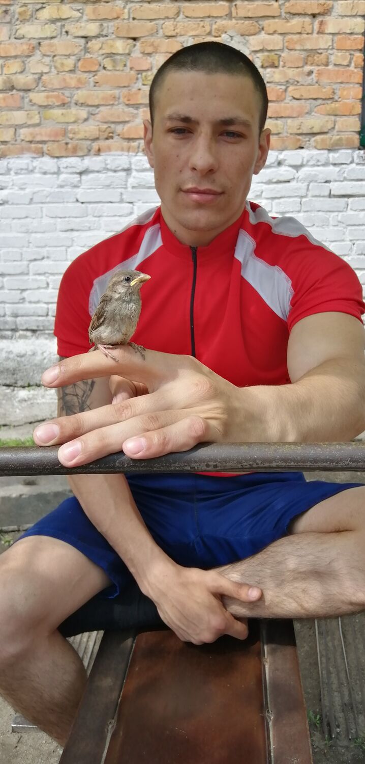  ,   , 29 ,   ,   , c , 