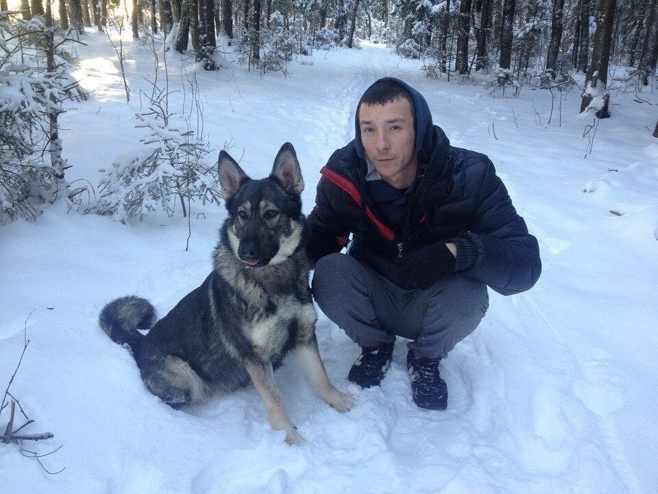 ���������� �������, ���� ������� ����� �����, 38 ���, ������������ ��� ������, ����� � ���������, c�������� ���������