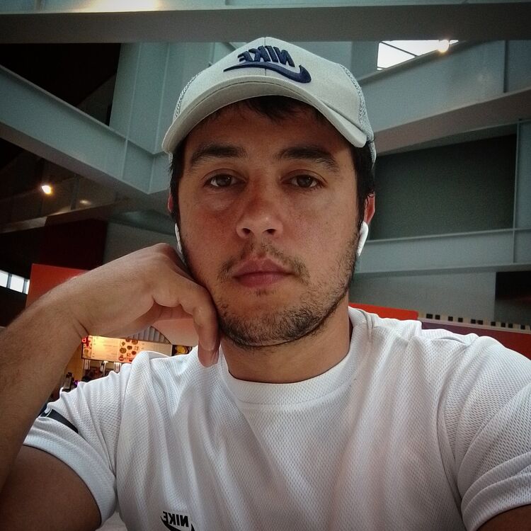  36678294  Dima, 27 ,    -